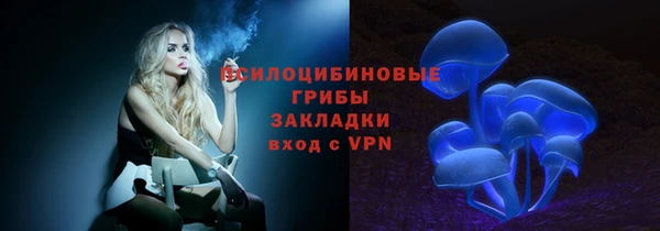 2c-b Горняк