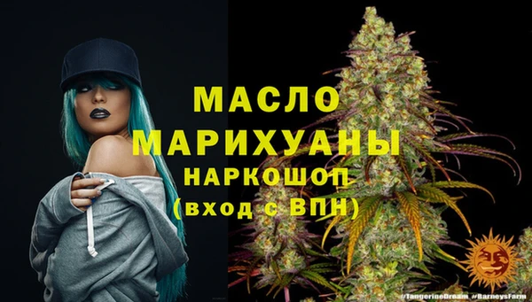 2c-b Горняк