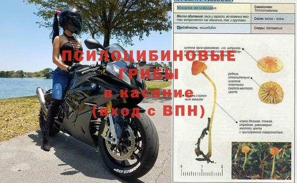 2c-b Горняк