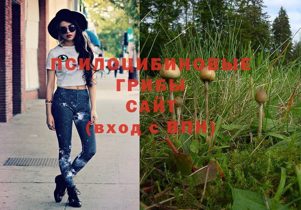 jwh Горнозаводск