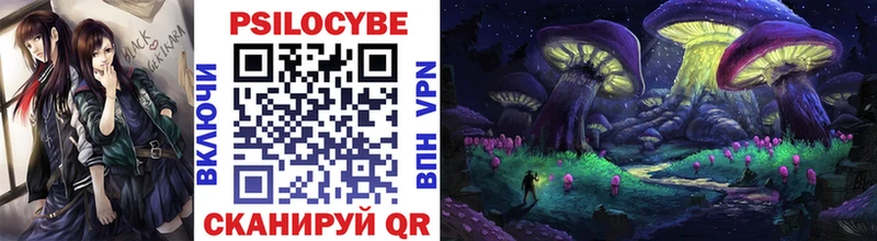 Псилоцибиновые грибы Cubensis  цены наркотик  Ессентукская 